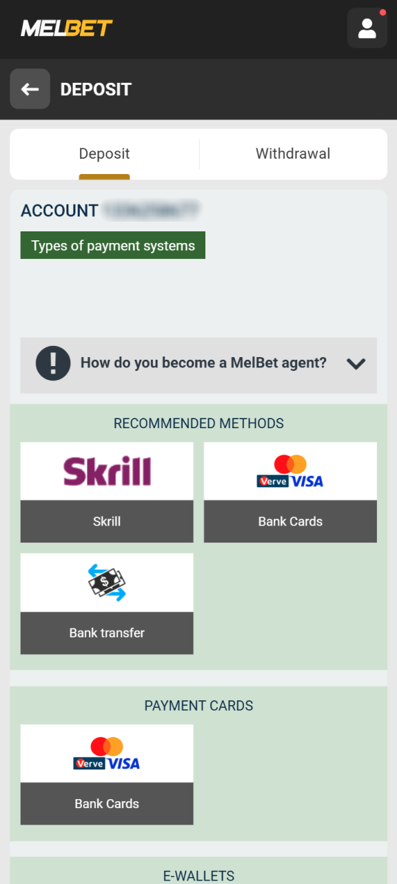 Choose your preferred payment category on the left panel at Melbet.