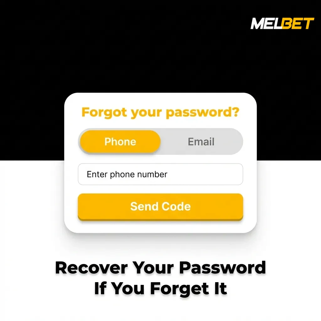 Password recovery screen showing reset options via phone or email with step-by-step instructions